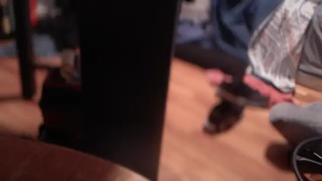 flexingplexico online show from March 2, 2025, 5:44 am