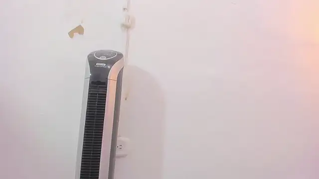 Snapshot of penelope_handaos chatting on December 12, 2024, 5:31 am penelope handaos online show from December 12, 2024, 5:31 am