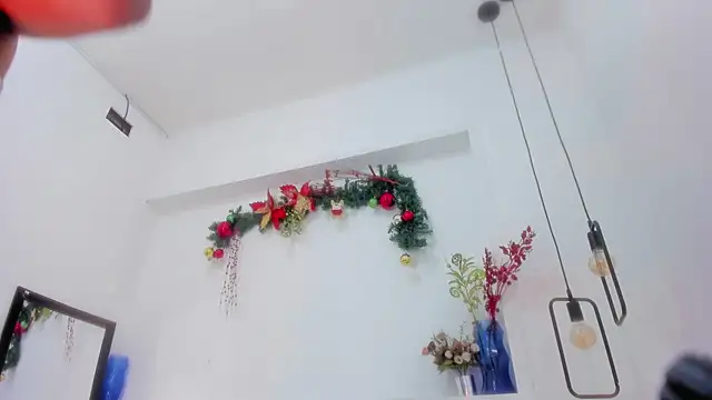 Snapshot of penelope_handaos chatting on December 29, 2024, 12:12 pm penelope handaos online show from December 29, 2024, 12:12 pm