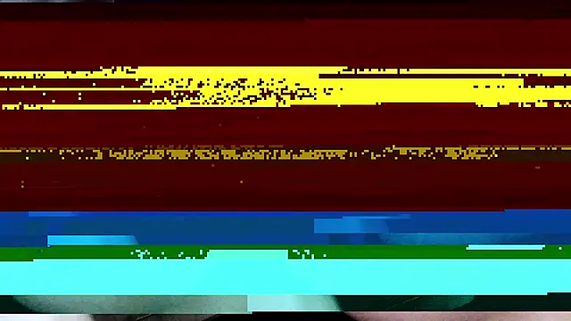 Terry Bogardd online show from June 9, 2026, 2:39 pm