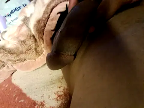 Advise99 online show from February 28, 2025, 1:14 pm