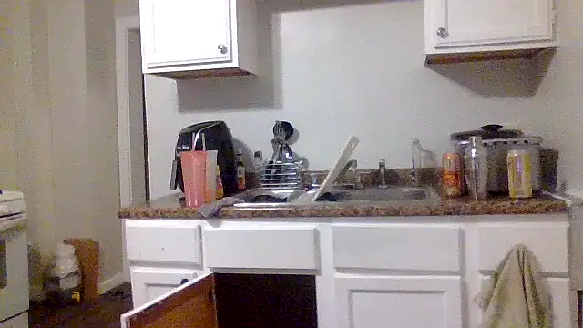 AllLeggs online show from December 31, 2024, 11:09 am