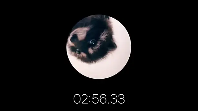 Snapshot of les_mod_sc2 chatting on February 12, 2025, 1:59 pm les mod sc2 online show from February 12, 2025, 1:59 pm