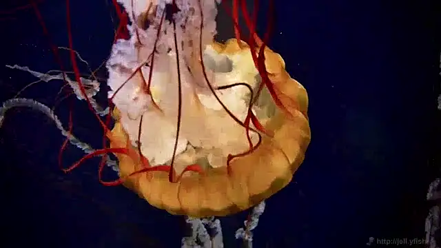 Snapshot of streamy_test13 chatting on December 5, 2024, 8:11 am streamy test13 online show from December 5, 2024, 8:11 am