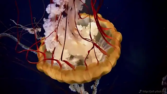 Snapshot of streamy_test13 chatting on March 11, 2025, 8:09 am streamy test13 online show from March 11, 2025, 8:09 am