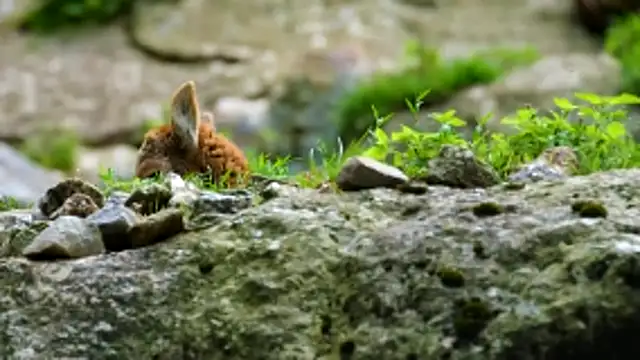 Snapshot of streamy_test13 chatting on February 18, 2026, 4:36 pm streamy test13 online show from February 18, 2026, 4:36 pm