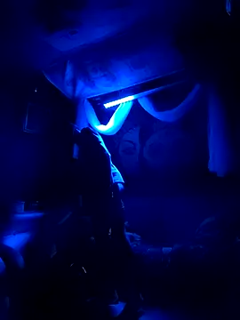 Snapshot of Gillygilly76 chatting on March 18, 2025, 11:41 am Gillygilly76 online show from March 18, 2025, 11:41 am