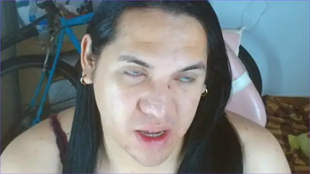 Geisha Seniers online show from January 6, 2026, 11:36 am