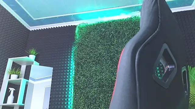 Snapshot of erikabrian chatting on December 29, 2024, 9:17 am erikabrian online show from December 29, 2024, 9:17 am