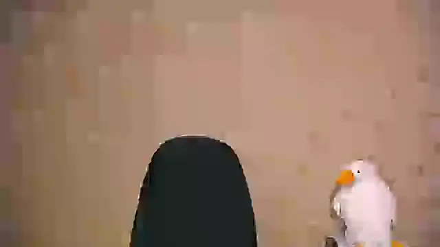 Snapshot of _your_fantasy_girl chatting on February 21, 2025, 1:00 pm your fantasy girl online show from February 21, 2025, 1:00 pm