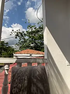 Snapshot of Pretty_Isadora chatting on January 16, 2025, 7:31 pm Pretty Isadora online show from January 16, 2025, 7:31 pm