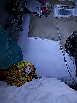 Snapshot of The-quee22 chatting on October 11, 2025, 11:31 am The-quee22 online show from October 11, 2025, 11:31 am