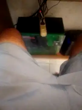 betinhodelas online show from October 18, 2025, 5:14 pm