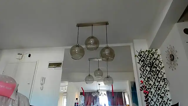 Snapshot of IreneVON chatting on January 28, 2025, 8:04 am IreneVON online show from January 28, 2025, 8:04 am