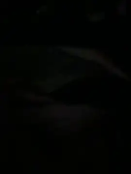 Ariel Ari online show from February 1, 2026, 3:05 am