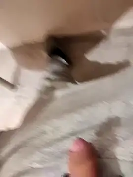 skrigul12 online show from December 14, 2024, 10:24 am