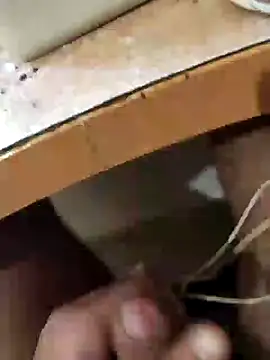 skrigul12 online show from December 31, 2024, 12:36 pm