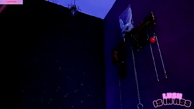 Snapshot of Alexa_Slave chatting on April 25, 2026, 7:22 pm Alexa Slave online show from April 25, 2026, 7:22 pm