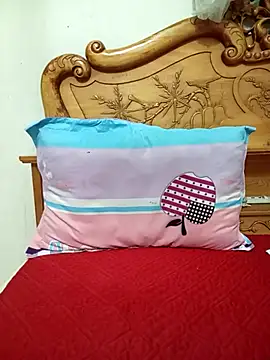 YunLem online show from November 17, 2025, 2:06 am