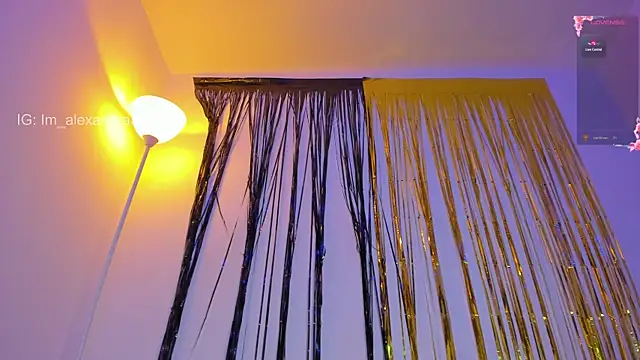 Snapshot of Alexa_will chatting on January 2, 2025, 2:22 am Alexa will online show from January 2, 2025, 2:22 am