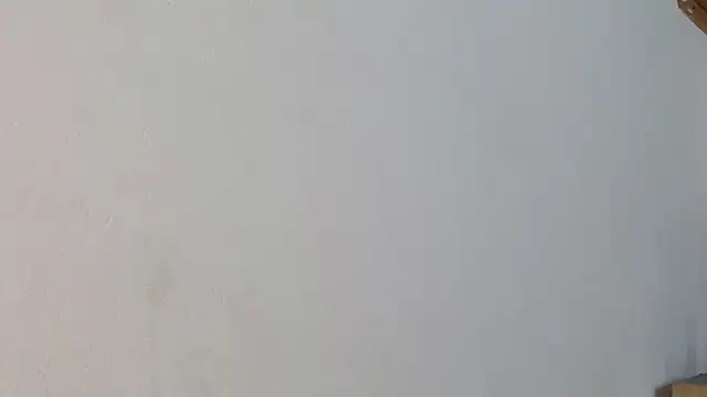 Snapshot of luna_palmerau chatting on January 6, 2025, 4:26 am luna palmerau online show from January 6, 2025, 4:26 am