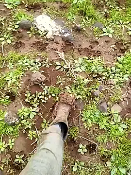 murokkk31 online show from March 29, 2026, 6:57 am