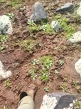 murokkk31 online show from March 30, 2026, 7:09 am