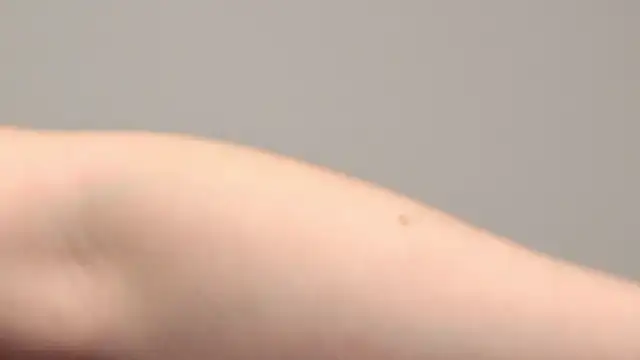 AliceMunro online show from January 25, 2025, 1:32 am