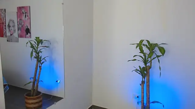 Snapshot of Jonesliam23 chatting on December 22, 2024, 7:42 pm Jonesliam23 online show from December 22, 2024, 7:42 pm