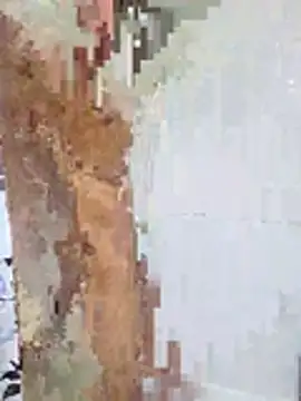 Snapshot of Yoko0381 chatting on February 18, 2026, 5:03 am Yoko0381 online show from February 18, 2026, 5:03 am