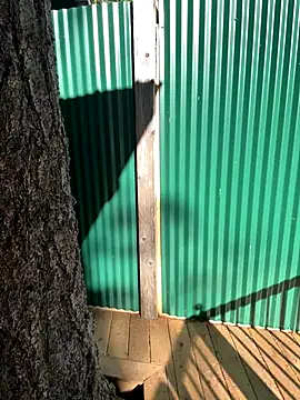 twist699 online show from November 4, 2025, 6:07 pm