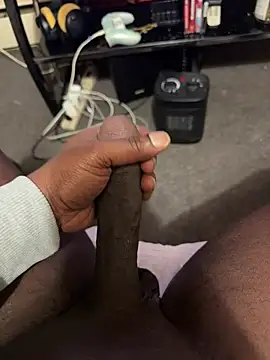 Snapshot of Cameltoekilla chatting on February 12, 2026, 12:00 pm Cameltoekilla online show from February 12, 2026, 12:00 pm