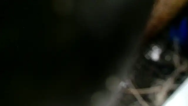 Snapshot of Gigadickman chatting on December 2, 2024, 11:40 pm Gigadickman online show from December 2, 2024, 11:40 pm