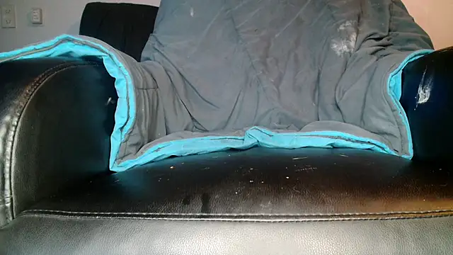 Snapshot of Gigadickman chatting on December 13, 2024, 2:54 am Gigadickman online show from December 13, 2024, 2:54 am