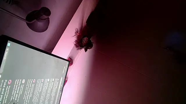 Snapshot of Gigadickman chatting on December 13, 2024, 6:00 am Gigadickman online show from December 13, 2024, 6:00 am