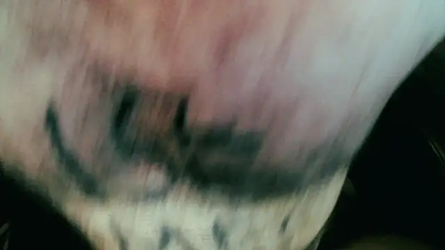 Snapshot of Gigadickman chatting on January 5, 2025, 11:44 pm Gigadickman online show from January 5, 2025, 11:44 pm