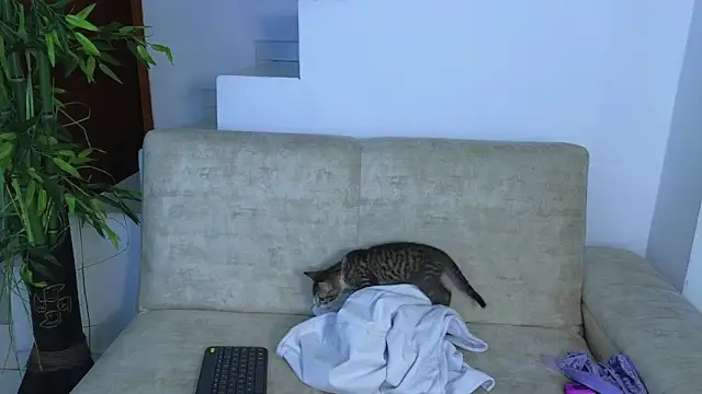 Lorenne Miller online show from October 22, 2025, 5:08 am