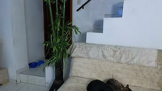 Lorenne Miller online show from April 25, 2026, 2:03 am