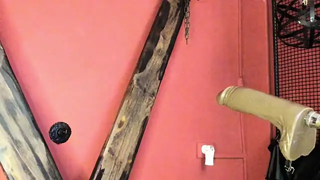 Snapshot of EVADANGERBDSM chatting on February 28, 2025, 11:58 am EVADANGERBDSM online show from February 28, 2025, 11:58 am