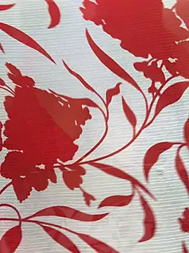 Snapshot of Sexy_Evelynn chatting on February 22, 2026, 4:24 am Sexy Evelynn online show from February 22, 2026, 4:24 am