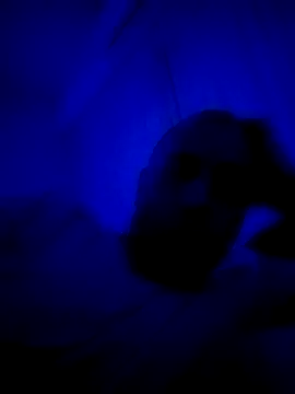 Snapshot of HELL_FIRE chatting on September 30, 2025, 5:23 am HELL FIRE online show from September 30, 2025, 5:23 am