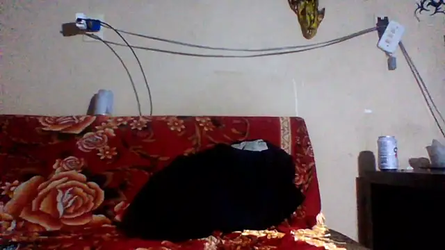 sellvageria online show from February 26, 2026, 3:49 am