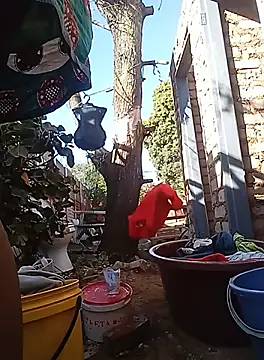 Snapshot of amarrabrown2024 chatting on September 19, 2025, 6:04 am amarrabrown2024 online show from September 19, 2025, 6:04 am