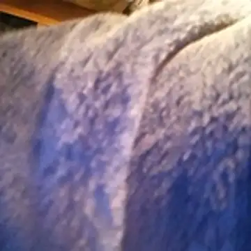 Snapshot of amarrabrown2024 chatting on October 15, 2025, 6:46 am amarrabrown2024 online show from October 15, 2025, 6:46 am