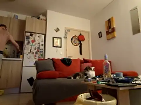 Snapshot of Zlyzloba21 chatting on April 15, 2026, 2:29 am Zlyzloba21 online show from April 15, 2026, 2:29 am