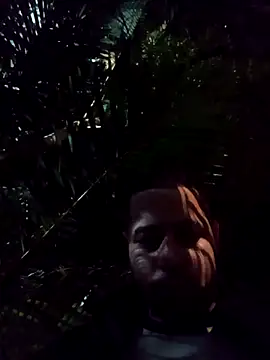 mis312 online show from April 19, 2026, 4:12 am