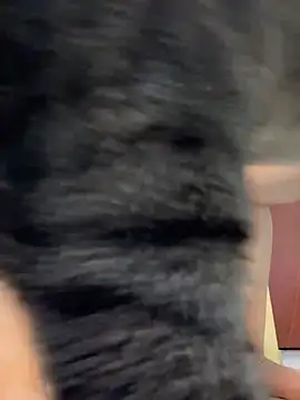 Barbielatinas online show from February 14, 2026, 4:31 am