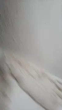 Snapshot of Siriss_boyrag chatting on November 22, 2025, 8:52 pm Siriss boyrag online show from November 22, 2025, 8:52 pm