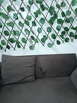 Bold-Cat online show from November 20, 2025, 4:51 pm