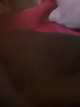 Fjome online show from November 15, 2025, 8:00 am